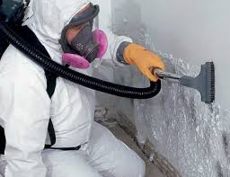 Best Mold Prevention Services  in Mdleton, ID